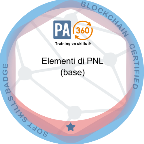 Badge pubblico 67489